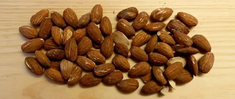 خرید بادام درختی کهنه + قیمت عالی باکیفیت